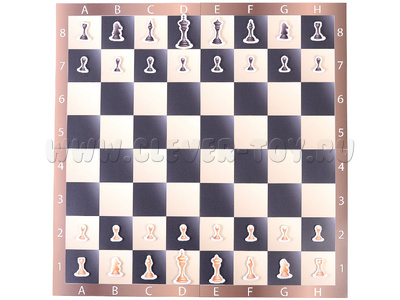 Магнитная шахматная доска (мобильная) с набором шахмат 58 х 58 см