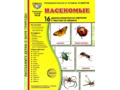 Демонстрационные картинки СУПЕР. Насекомые (16 шт.) в папке