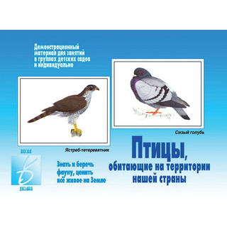 Демонстрационный материал "Птицы нашей страны"