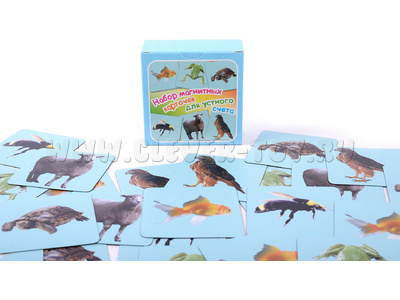 Набор магнитных карточек "Устный счет" №5 (фон голубой)