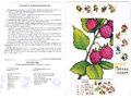 Методическое пособие "Садовые ягоды" (дидактический материал)