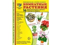 Демонстрационные картинки СУПЕР. Комнатные растения (16 шт.)