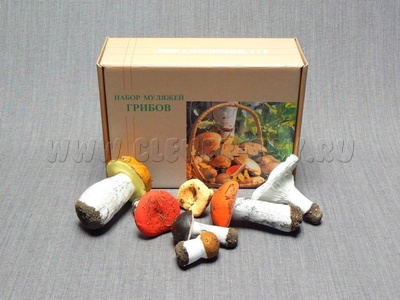 Набор муляжей грибов