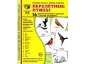 Демонстрационные картинки СУПЕР. Перелетные птицы (16 шт.) НОВЫЕ