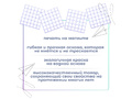 Маркерное поле "Клетка" для работы на классной доске (2-4 классы, из 4-х частей)