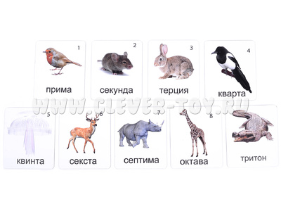 Магнитные карточки Животные (Интервалы)