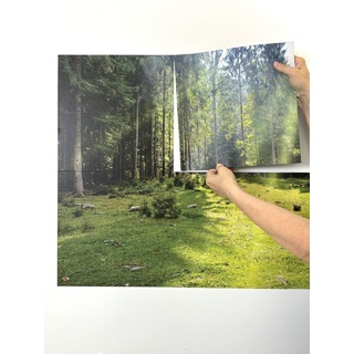 Магнитный плакат Лес без набора карточек (мобильный)